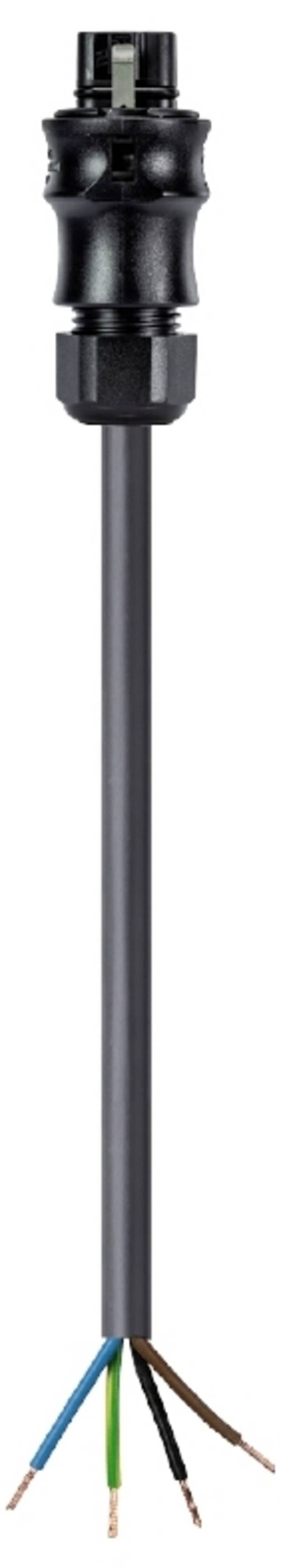 Wieland Electric 96.442.8034.1 Cable Black 8 m