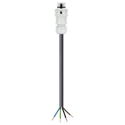 A white, elongated plug connector with a black cable, which splits into four differently coloured, stripped wires at the end.