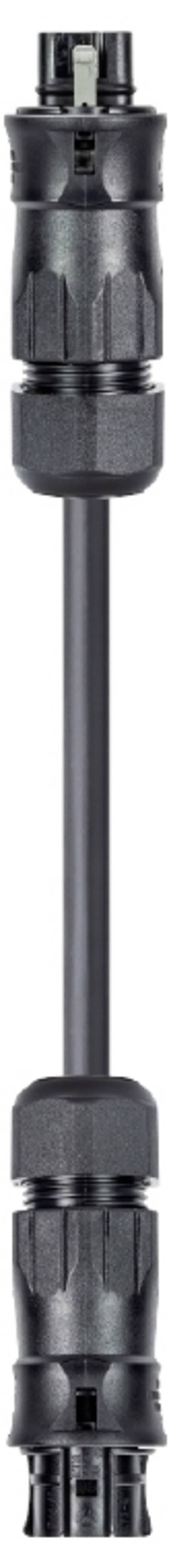 Wieland Electric 96.454.7030.1  Connection   Black 7 m