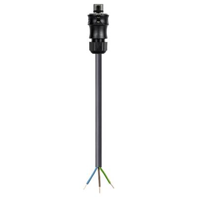 A black cable with a black cable gland, releasing several coloured wires (blue, brown, green-yellow).
