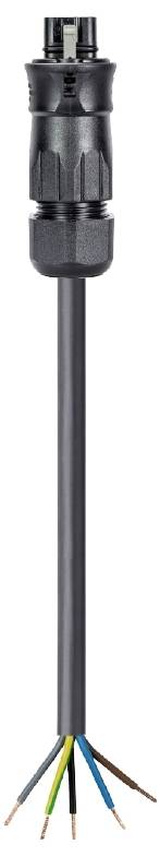 Electrical connector with a black cable that splits into multiple coloured wires at its end.