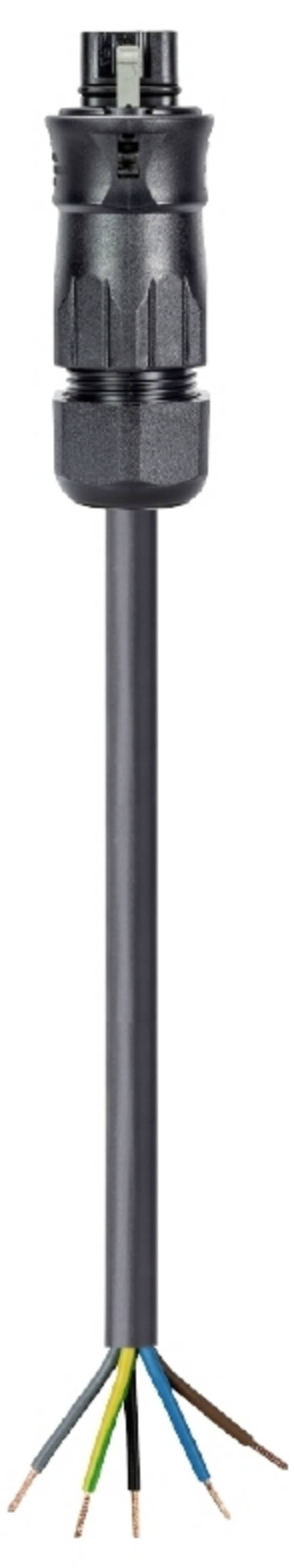 Wieland Electric 96.454.8034.1 Cable Black 8 m