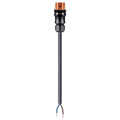 A black electric cable with a copper plug at the upper end and two stripped wires, blue and brown, at the lower end.