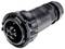 Black industrial cylindrical connector with multiple metal pins, suitable for robust electrical connections.