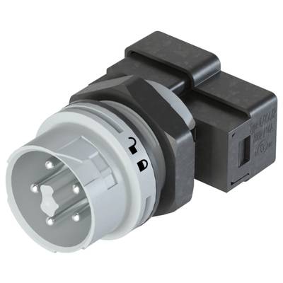 An electrical plug with a grey plastic housing and multiple metal pins, suitable for industrial connections.