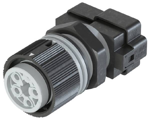 Wieland Electric 46.051.M053.0  Appliance connector