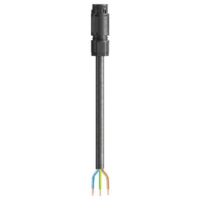 Black cable with a plug at the upper end and four coloured wires (blue, orange, green, brown) hanging loose at the lower end.