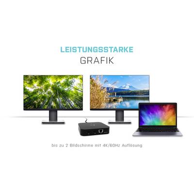 'High-Performance Graphics': Two monitors and a laptop with vibrant images, connected through a docking station. 'Up to 2 screens with 4K/60Hz resolution'.