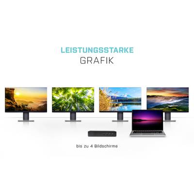 Four monitors and a laptop display different nature images. Text above: 'High-Performance Graphics', below: 'Up to 4 Screens'.
