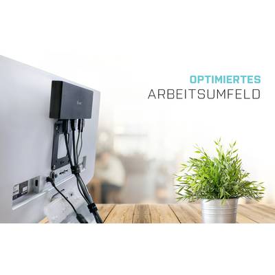 'Optimised Workspace': Monitor mount with cables at the back of a screen; next to a pot with a green plant.