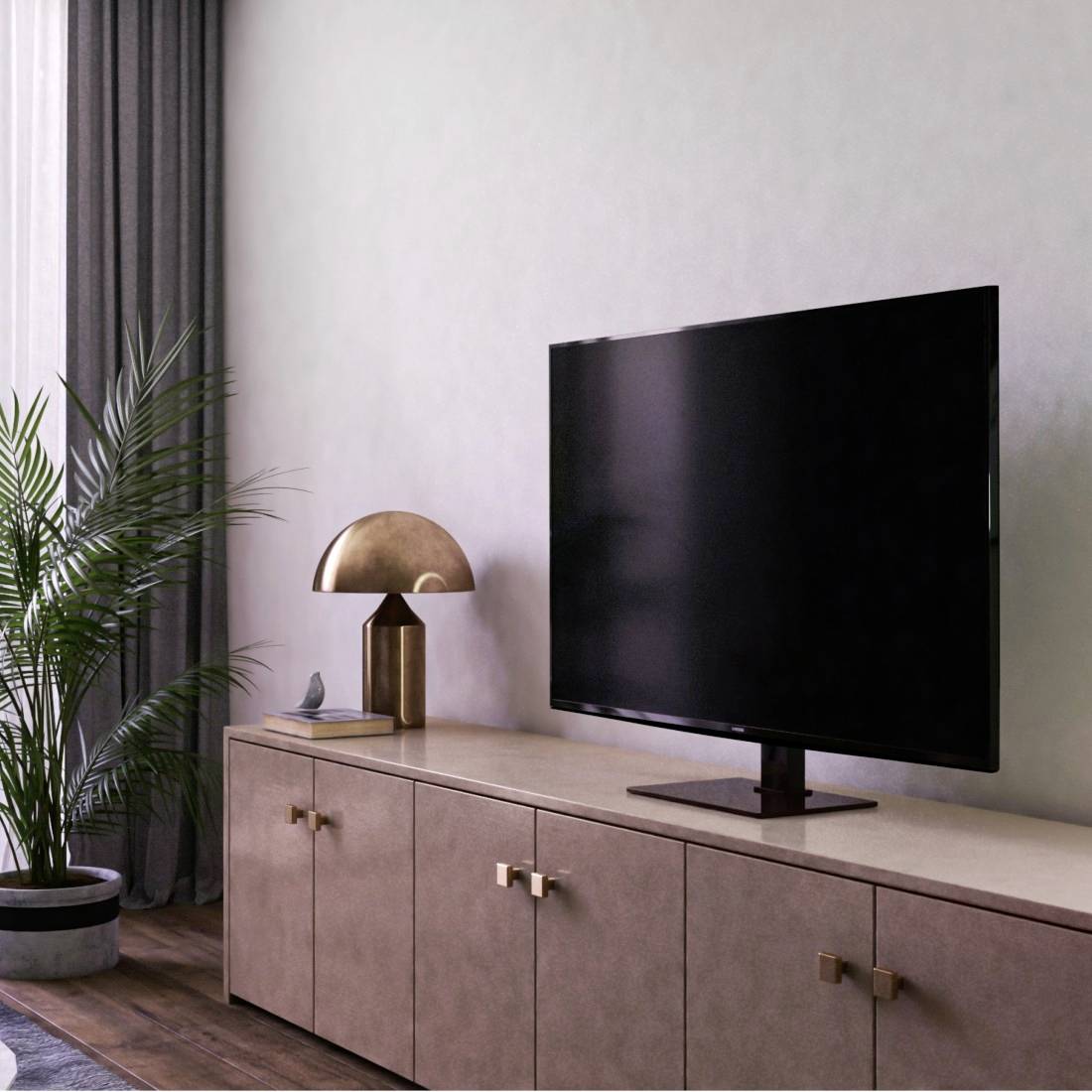A living room with a television on a sideboard. To the left is a houseplant, with a lamp beside it.