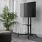 A living room with a grey sofa, a plant in a pot, and a black television on a stand in front of white curtains.