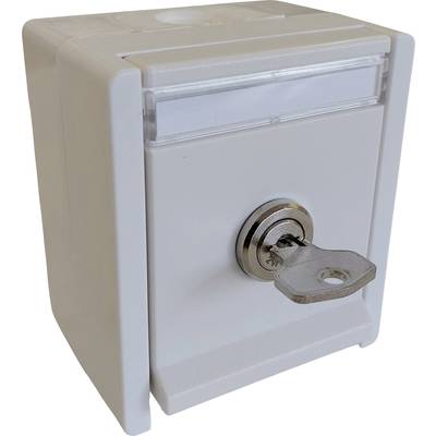 A white key switch with an inserted key, used for controlling electronics or as a security device.