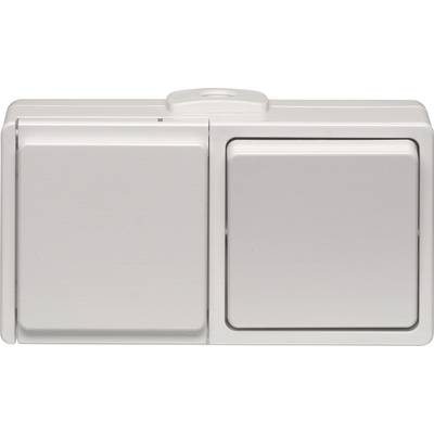 Double switch mounted on the wall, white housing, without visible labels or markings.
