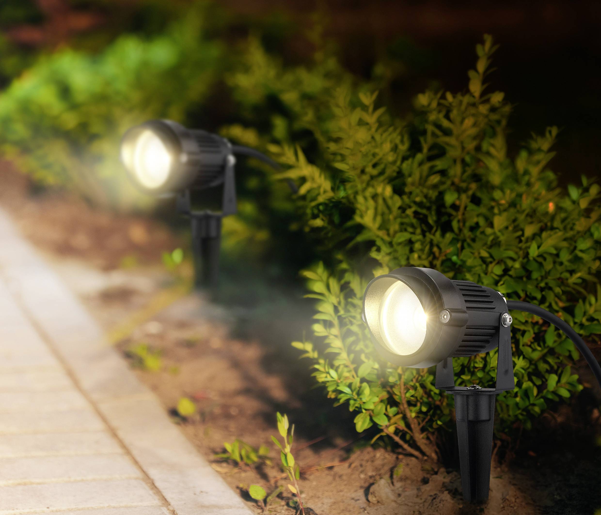 Two garden spotlights illuminate a row of shrubs along a path at night, creating a warm ambient glow on the greenery.