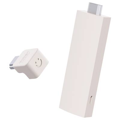 'Two white USB-C plugs, one small with a smiley, the other elongated and narrow. Both are used for data transfer or charging.'