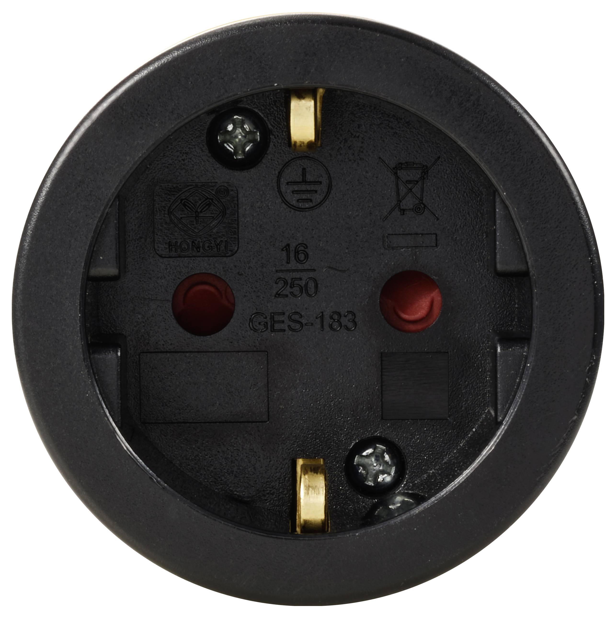 A black, round adapter with two slots and two golden contacts, suitable for a voltage of 250 V.