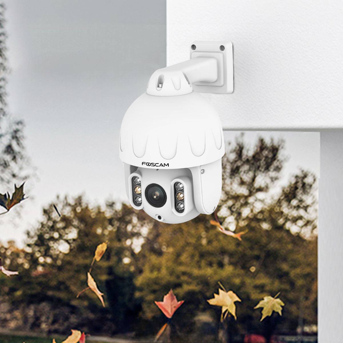 Security camera mounted on a wall, surrounded by autumn leaves outdoors.