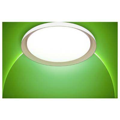 Green graphic with a large blank white oval label area centered near the top.