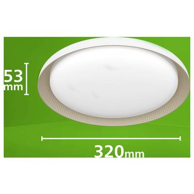 Oval ceiling light fixture shown on green background, labeled 53 mm high and 320 mm wide.