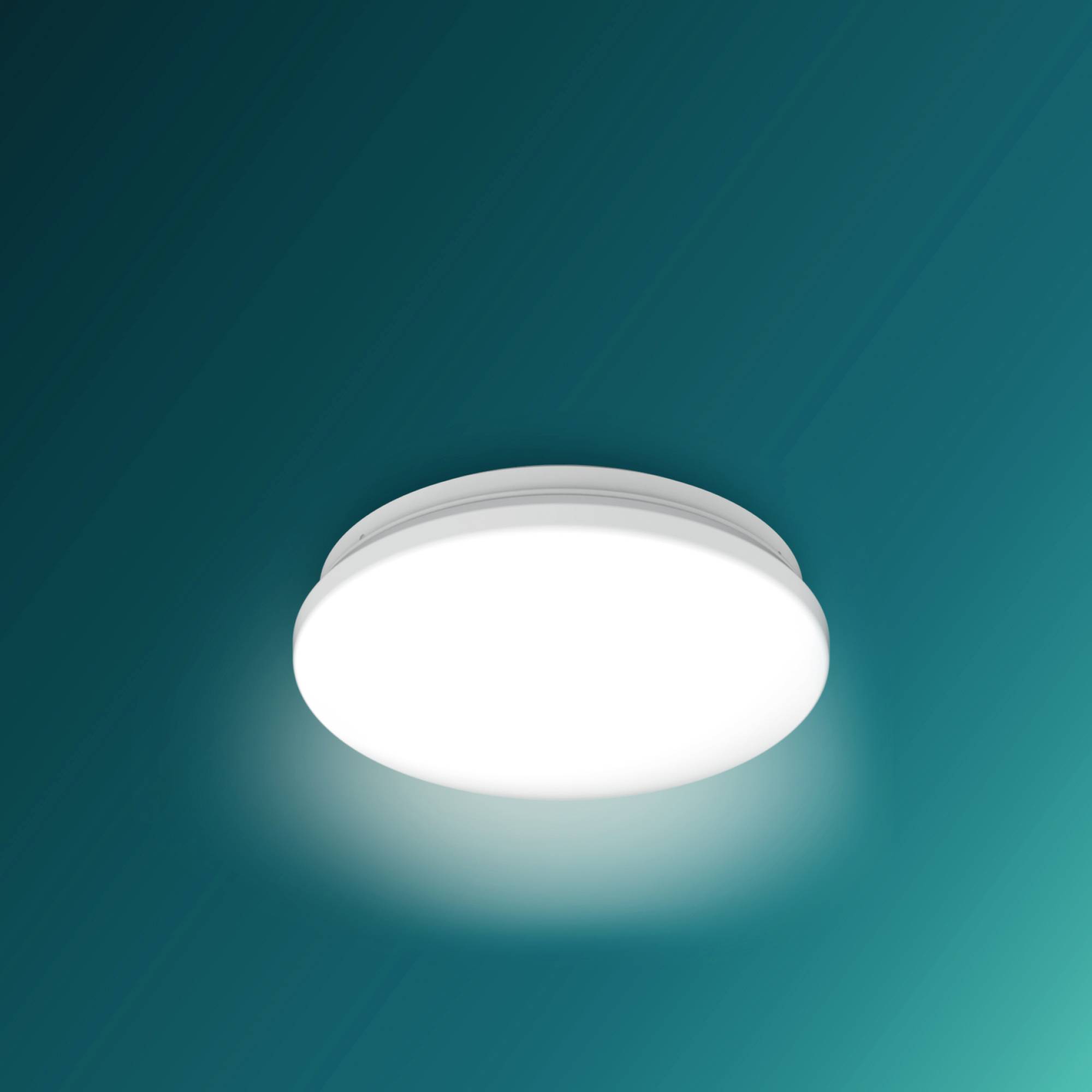 A round, white ceiling light illuminates against a dark green background.