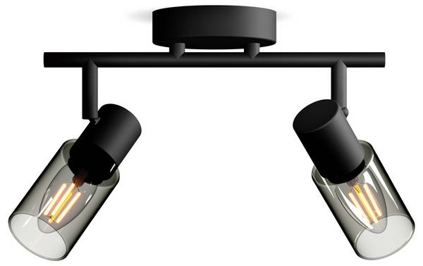 Philips Palms 8720169299290 Ceiling floodlight E14 50 W Black