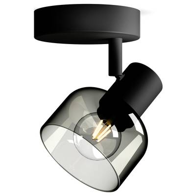 A black ceiling spotlight with a transparent lamp shade and visible light source. Modern interior lighting.