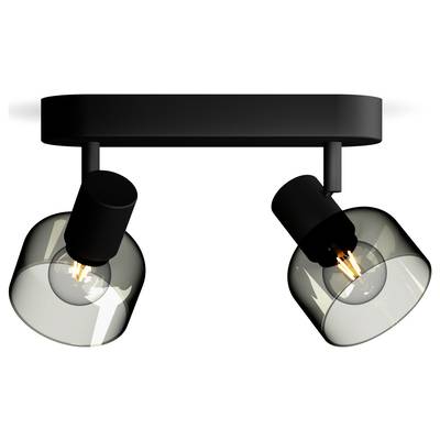 A black ceiling spotlight with two adjustable lamps built into transparent, smoke-grey glass domes.