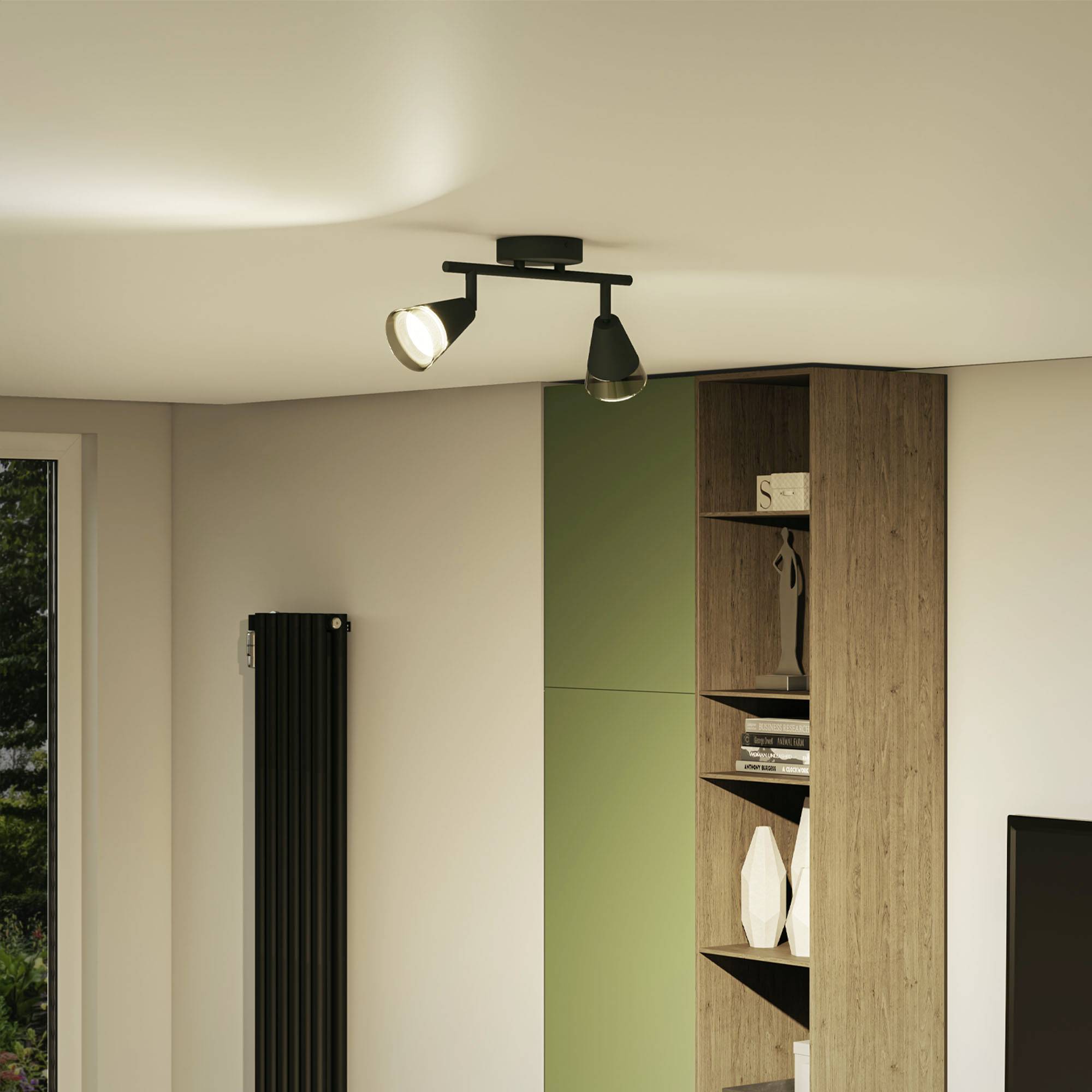 Ceiling light in a modern room furnished with a shelving unit and green cabinets. A window allows natural light to stream in.