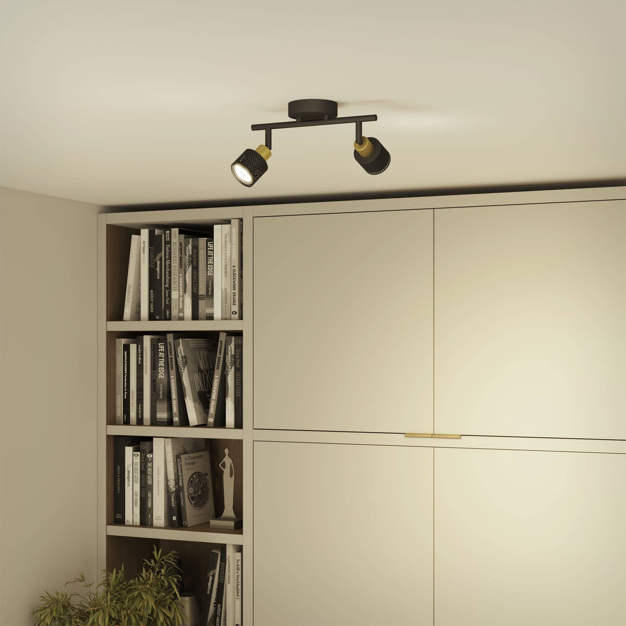 Ceiling spotlight with two adjustable lights illuminating a bookshelf and a wardrobe in a modern room.