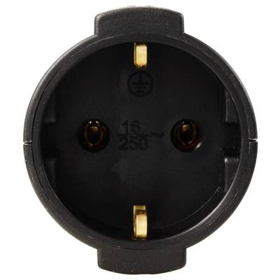 A black European socket, pictured frontally, with two round plug sockets and earth connection, suitable for 16 A.
