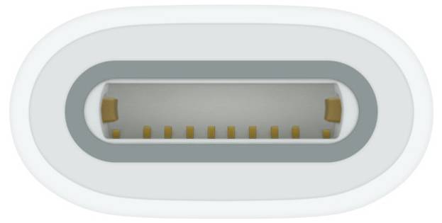 Plug view of a USB-C connector with an oval shape and a central socket featuring gold-plated contacts for data and power transmission.