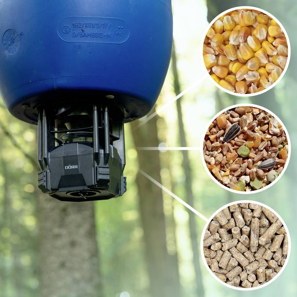 A blue feeding station in the woods displays enlarged servings of maize kernels, seed mix, and pellets intended for wildlife.