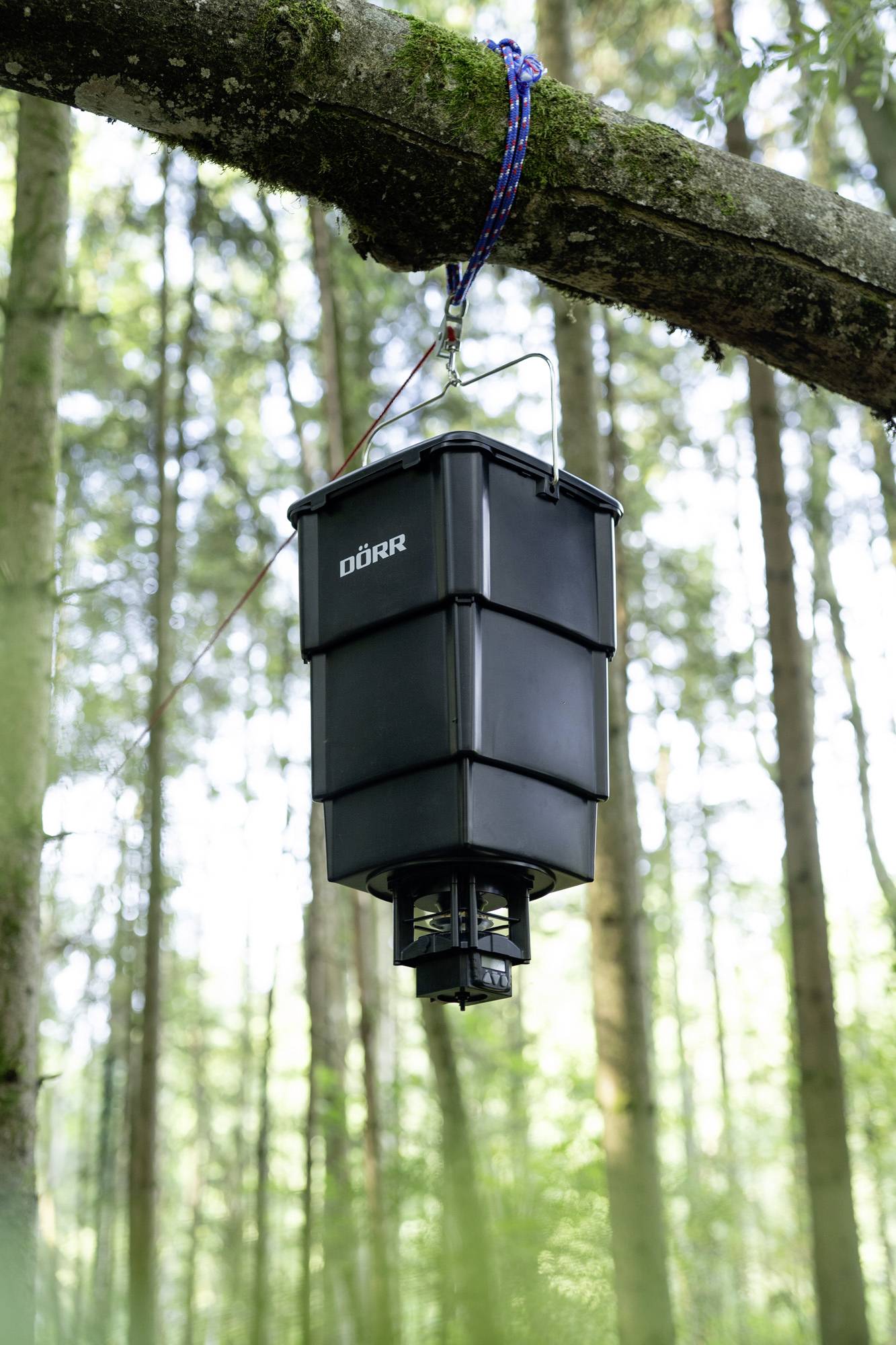 A black wild animal feeder hangs on a tree trunk in the forest, with green foliage in the background.