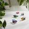 Multicoloured objects with bristles resembling small brushes are arranged on a white table, surrounded by plants.