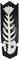 A rectangular design on a black background depicts a stylised fish skeleton with floral elements running vertically.