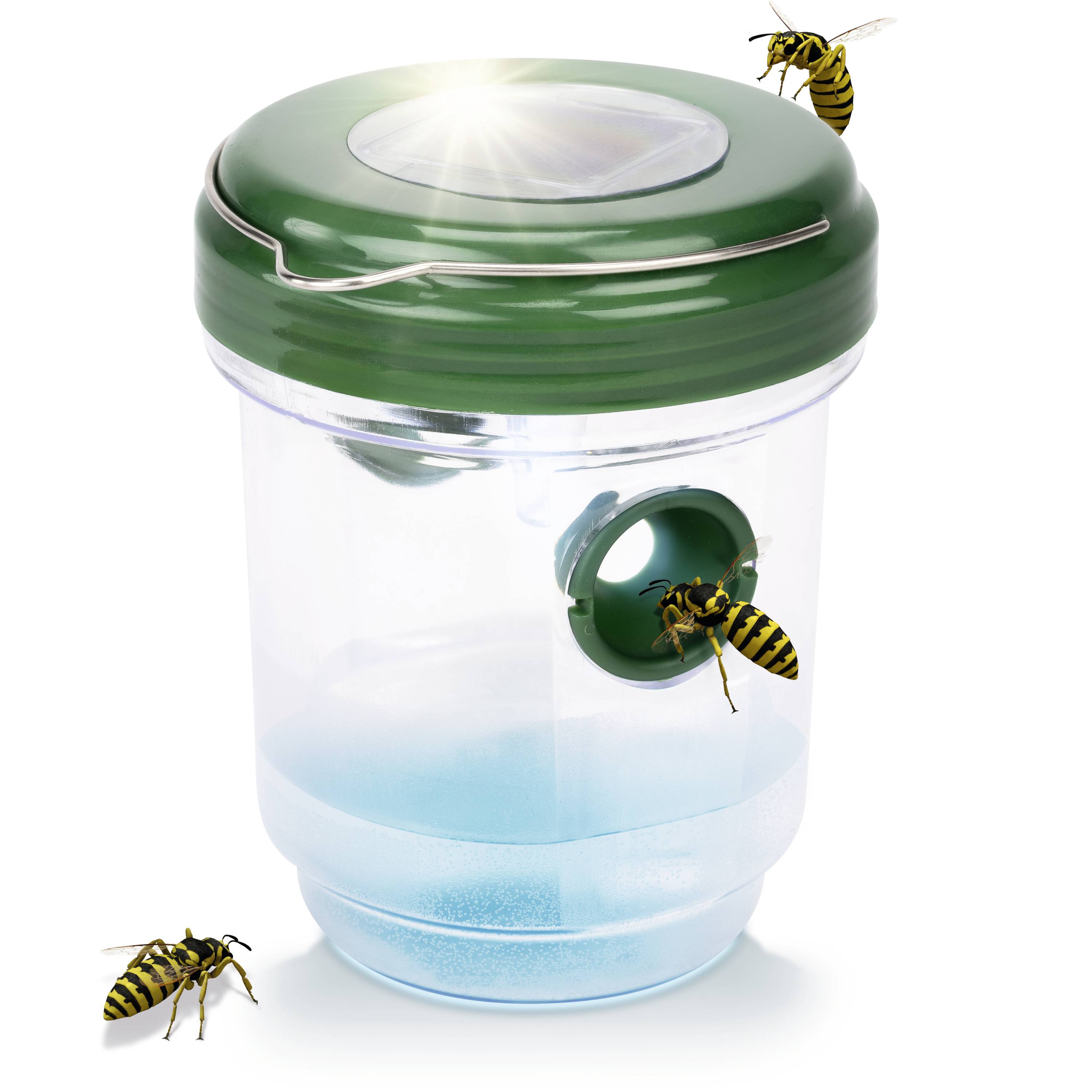 A transparent insect-catching container with a green lid and small opening, surrounded by three wasps; contains blue liquid.