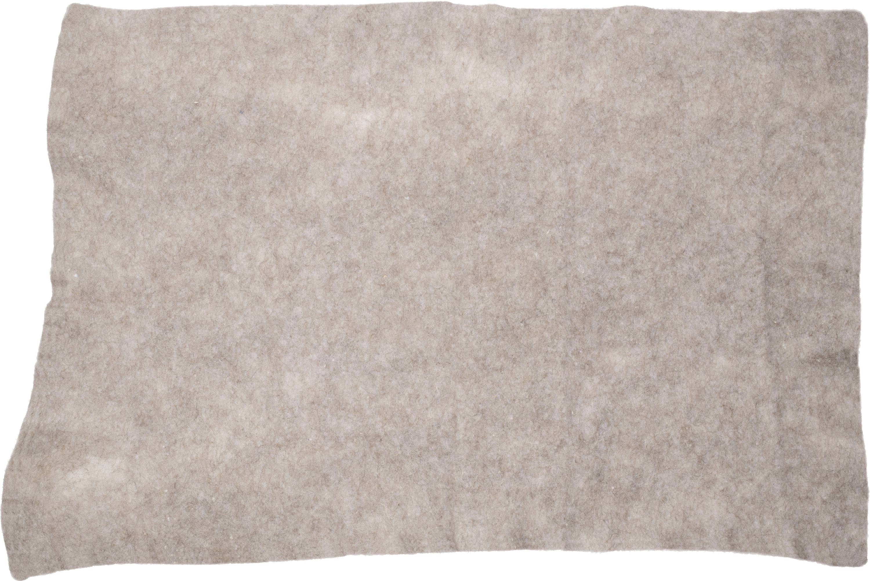 Gardigo Slug repellent Working principle Deterrent 1 pc(s)