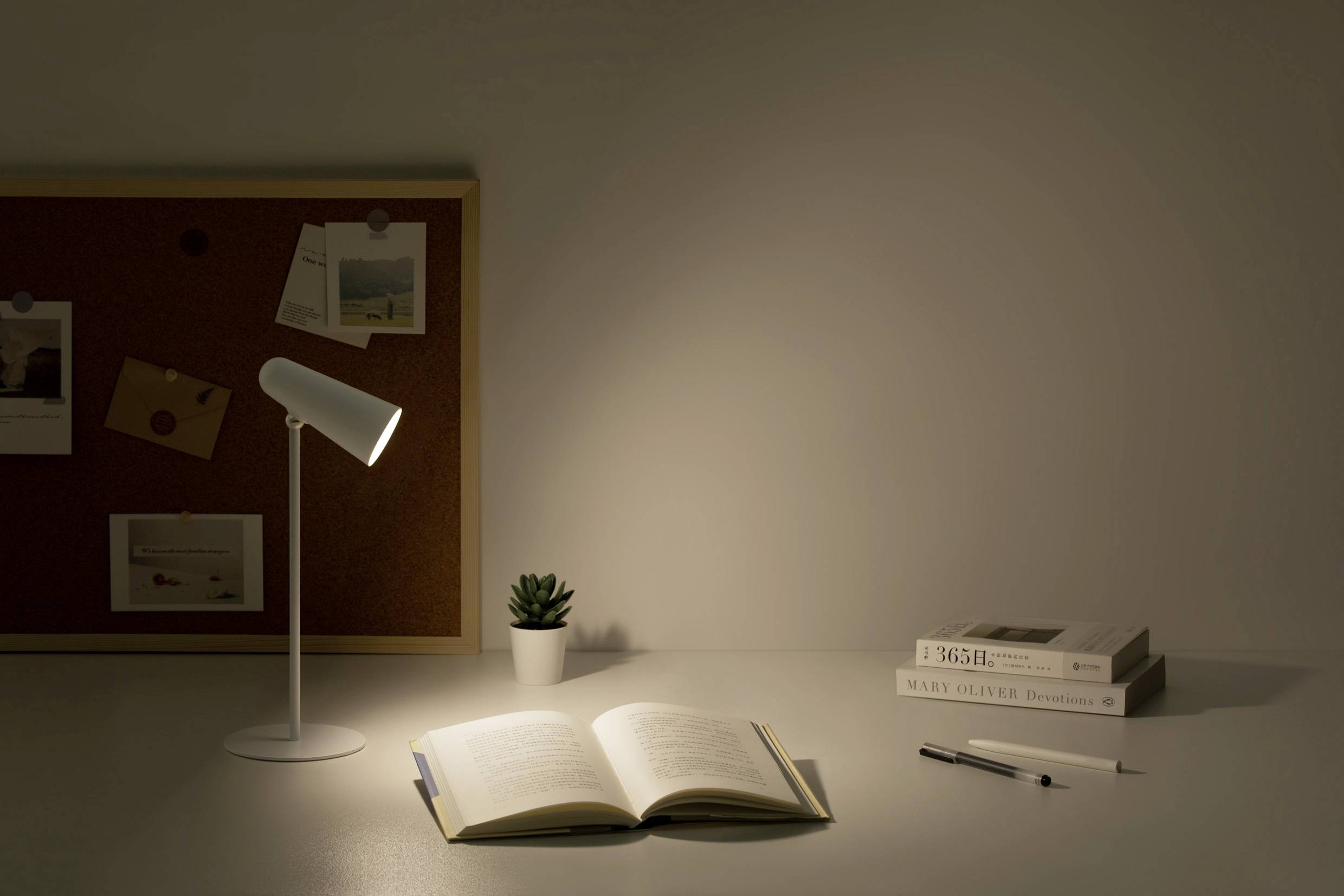 An open book lies on a desk in the light of a lamp, next to a small plant and a stack of books, on a pinboard.