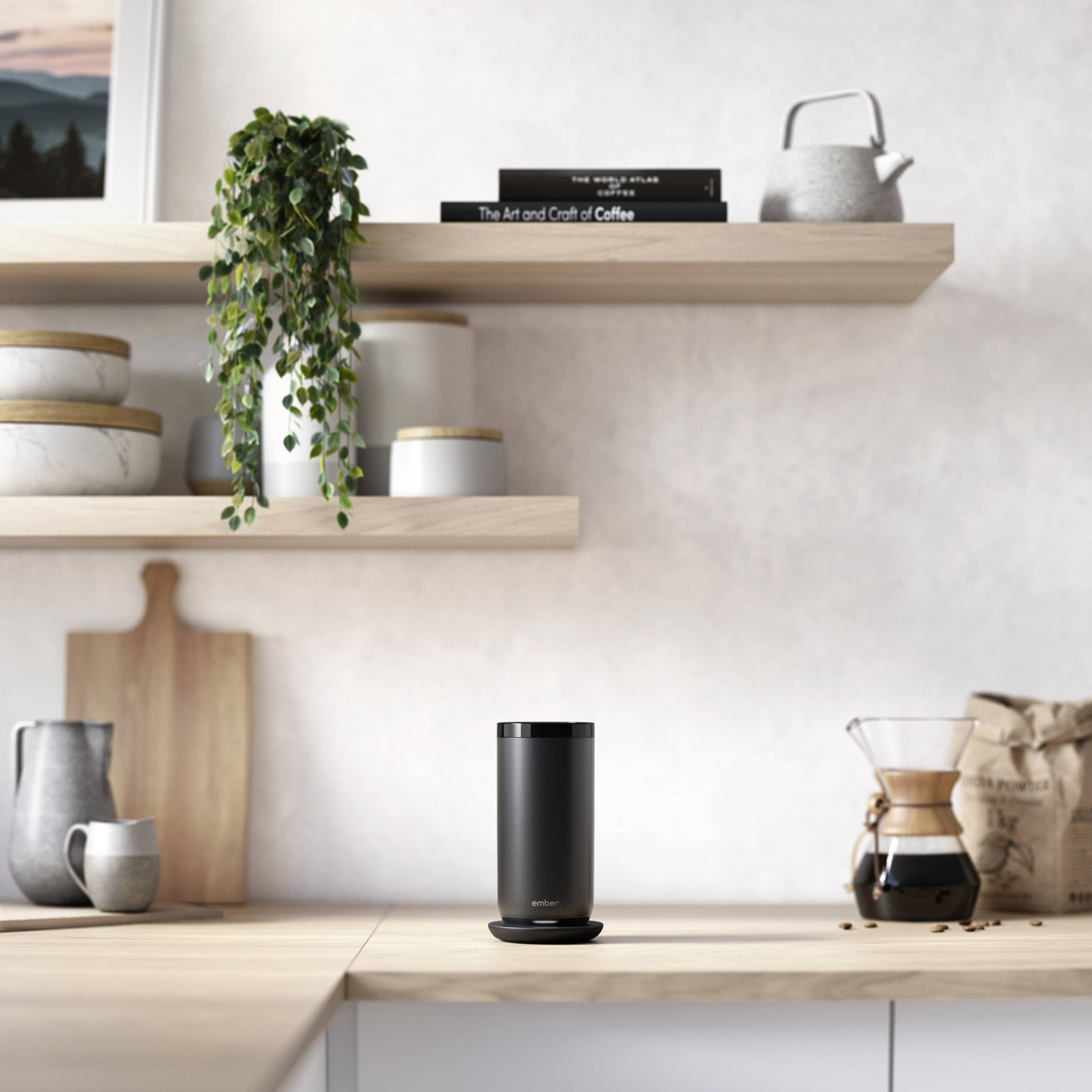 Modern kitchen with shelves displaying plants and books. A coffee machine and a black speaker sit on the worktop.