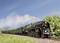 A historic steam locomotive is pulling several green carriages along a railway track through a rural landscape under a clear sky.