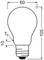 Sketch of a light bulb with dimensions: Total height 105 mm, width 60 mm, 'Tc' 10 mm from the base.
