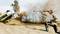 A motorcyclist rides through sand, kicking up dust, while a photographer captures him with an action camera to obtain a dynamic sports shot.