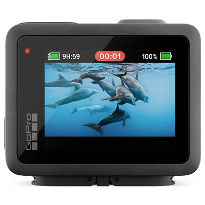 GoPro camera display shows video recording of dolphins playing in clear blue water. Battery indicator at 100%, recording time 00:01.