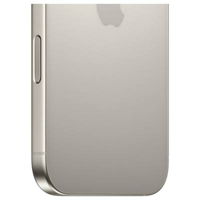 Apple iPhone 16 Pro Titanium ecru 256 GB 16 cm (6.3 inch)