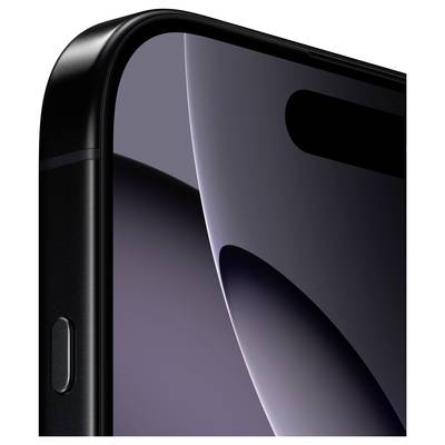 Apple iPhone 16 Pro Max Titanium-black 256 GB 17.5 cm (6.9 inch)