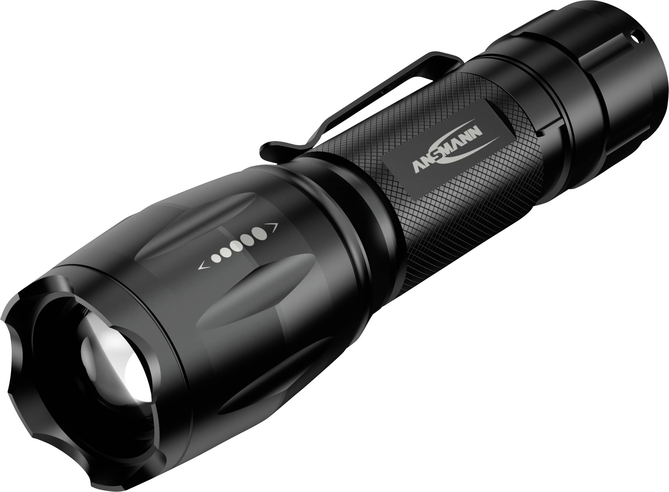 Ansmann Action 400 UV LED (monochrome), UV bulb Torch battery-powered 100 lm 27 h