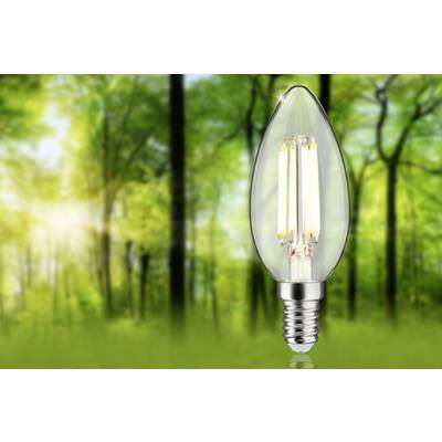 A light bulb stands in front of a background of green trees and sunlight, symbolising sustainable energy or environmental awareness.