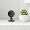 Black surveillance camera on a white table next to a green cactus in a white pot, against a light background.