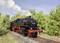 A black steam locomotive travels along rails through a green landscape, surrounded by trees and bushes, with smoke billowing from its chimney.